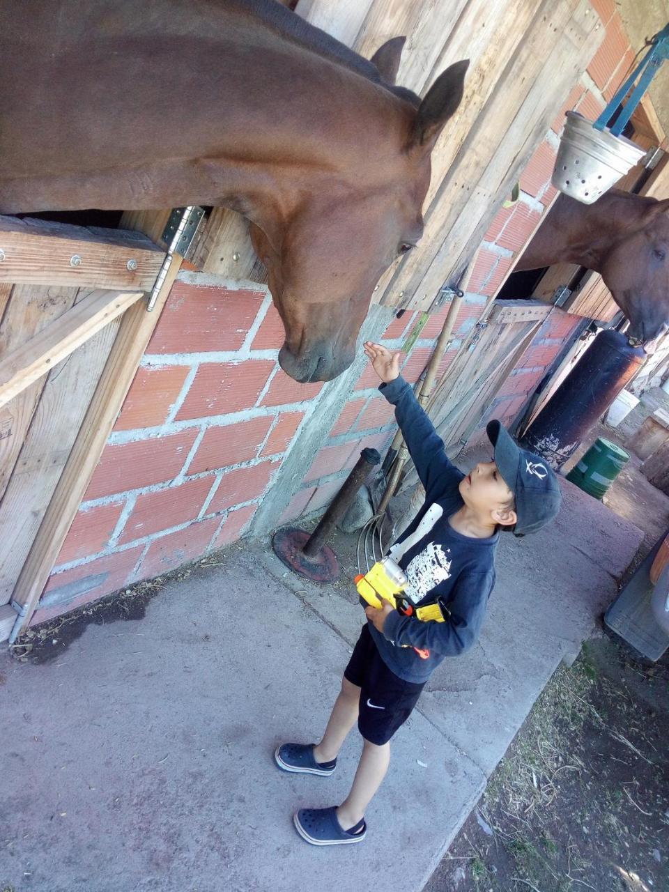 Posada Pesca Aike Patagonico Los Antiguos Exterior foto